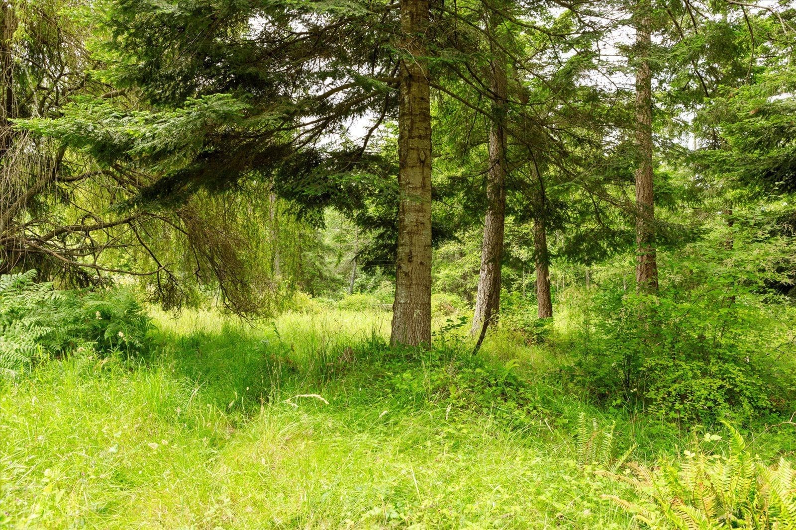 Land for sale on Whidbey Island showing acreage, well, septic, and zoning considerations for builders.